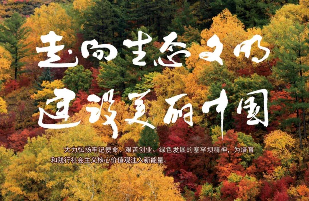 bd08d13ec2e642f0b22581c972df55e0.jpg bd08d13ec2e642f0b22581c972df55e0.jpg